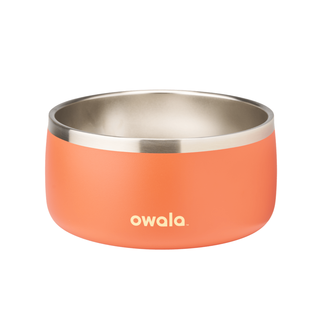 Pet Bowl F1