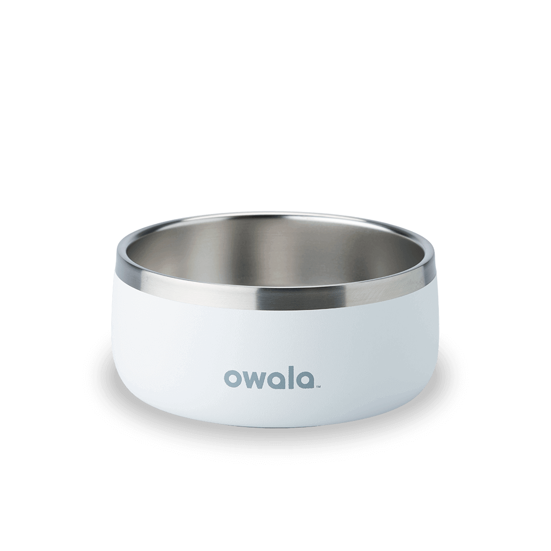 Pet Bowl F1