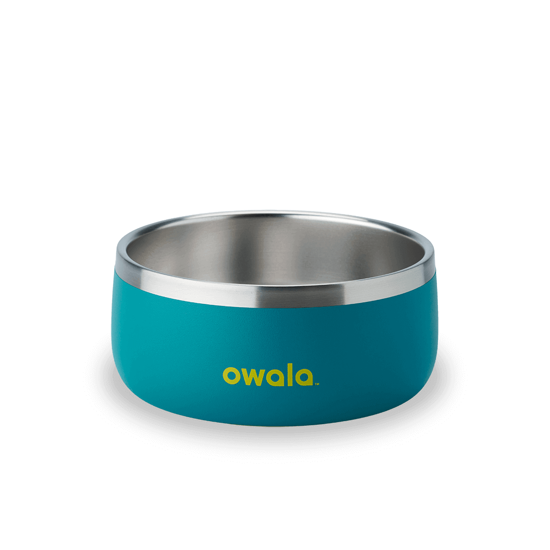 Pet Bowl F1