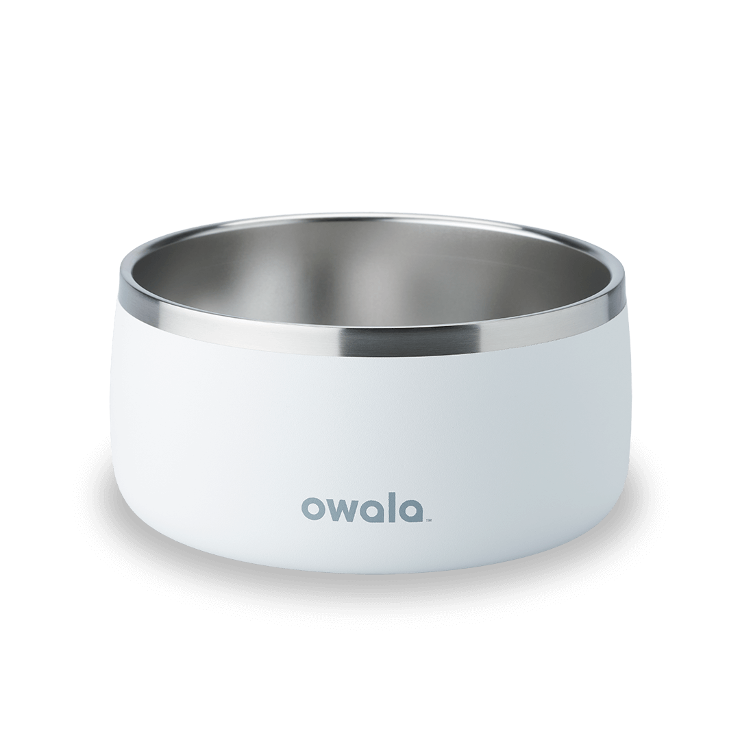 Pet Bowl F1